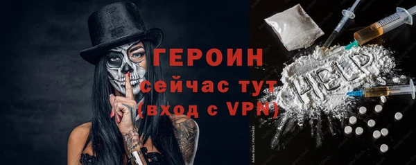 индика Надым