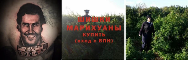 спайс Михайлов