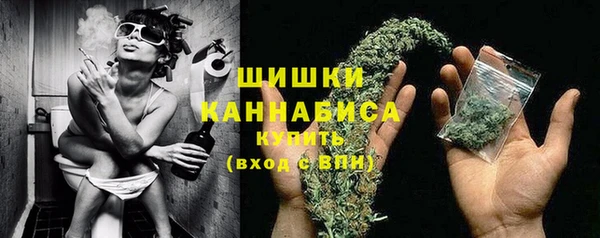 спайс Михайлов